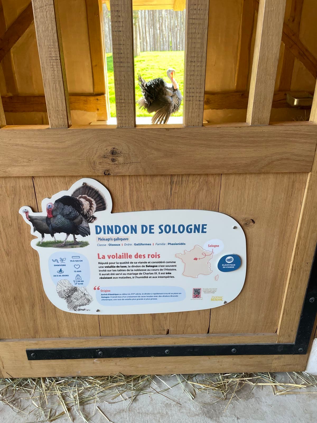 Panneau d'information Dindon de Sologne au ZooParc de Beauval
