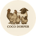 Coco Dorper
