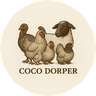 Coco Dorper