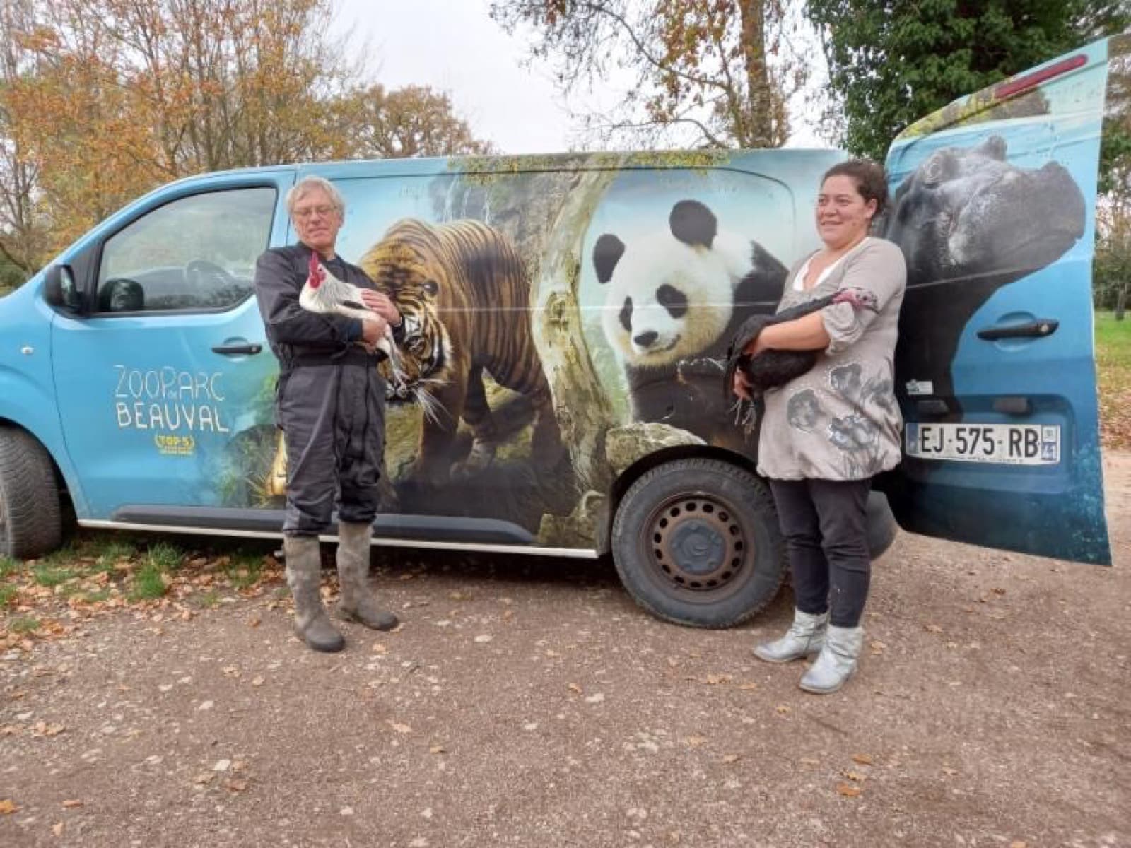 Dindon noir de Sologne au ZooParc de Beauval